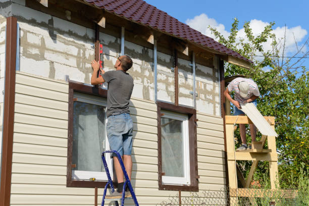 Best Siding Painting and Refinishing  in Marissa, IL